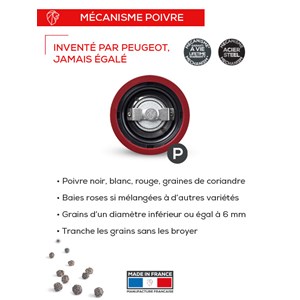 Paris u'select moulin à poivre manuel