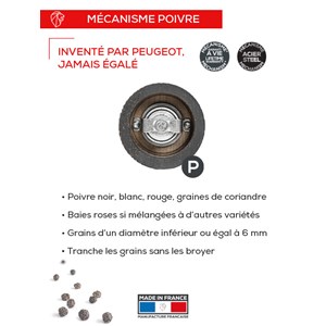 Paris moulin à poivre manuel en bois