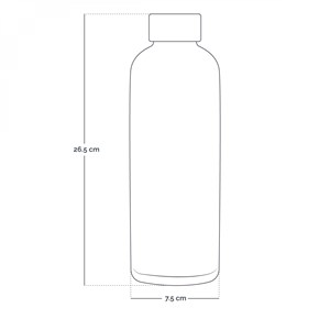 Gourde isotherme 750ml - gris