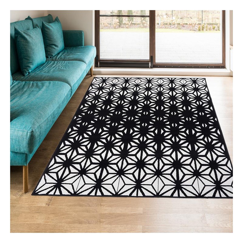 Tapis+salon+80x150+autre