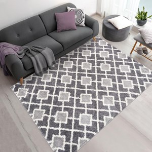 Tapis shaggy 80x150 gris