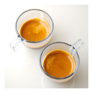 Handpresso pump cups