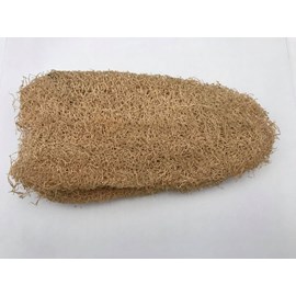 Luffa complète