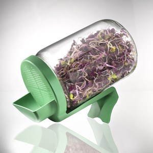 Coffret découverte germination germline