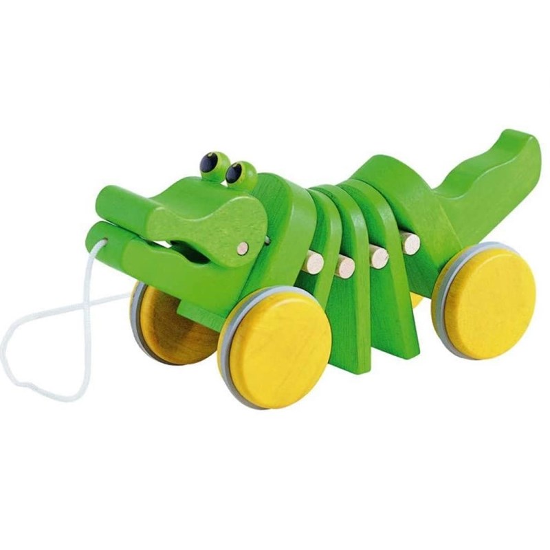 Alligator