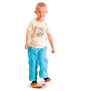 Disque de mouvement flex