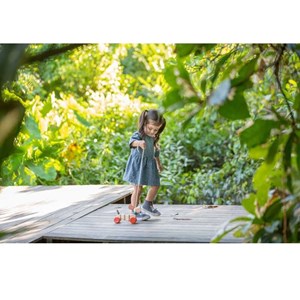 Teck le petit chien à tirer