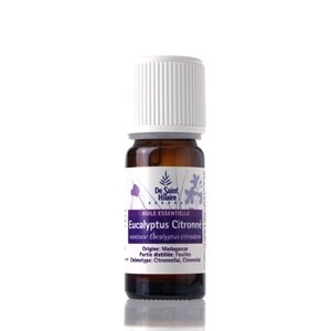Eucalyptus citronne