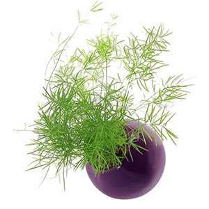 Flowerball
