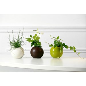 Flowerball