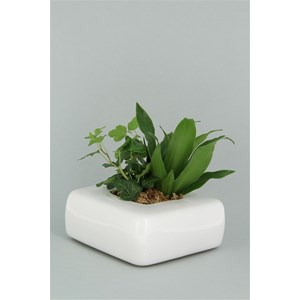 Flowercube