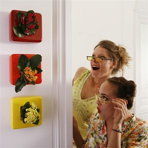 Flowercube