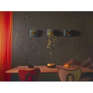 Flowercube