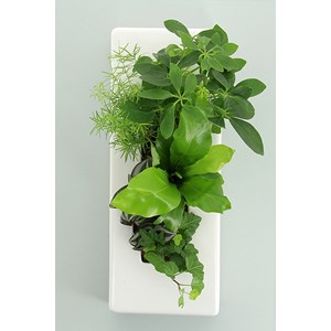 Flowerligne