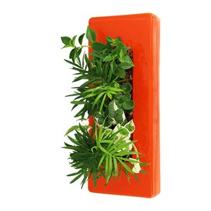 Flowerligne