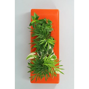 Flowerligne