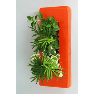 Flowerligne