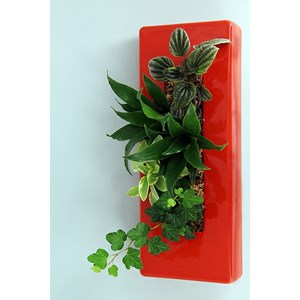Flowerligne
