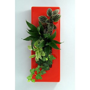 Flowerligne
