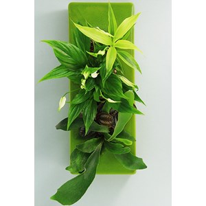 Flowerligne