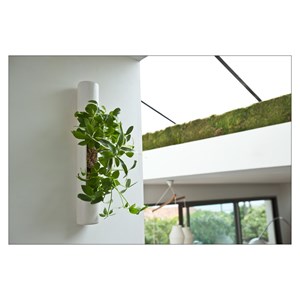 Flowertube 40