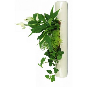 Flowertube 40