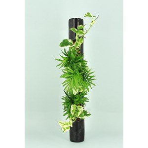 Flowertube 65