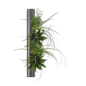 Flowertube 65
