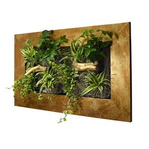 Cadre wallflower m 31x58 cm