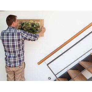 Cadre wallflower m 31x58 cm