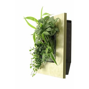 Cadre wallflower s 31x31cm