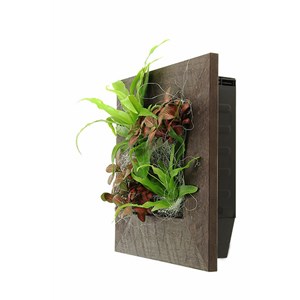 Cadre wallflower s 31x31cm