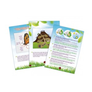 Explorateur insectes