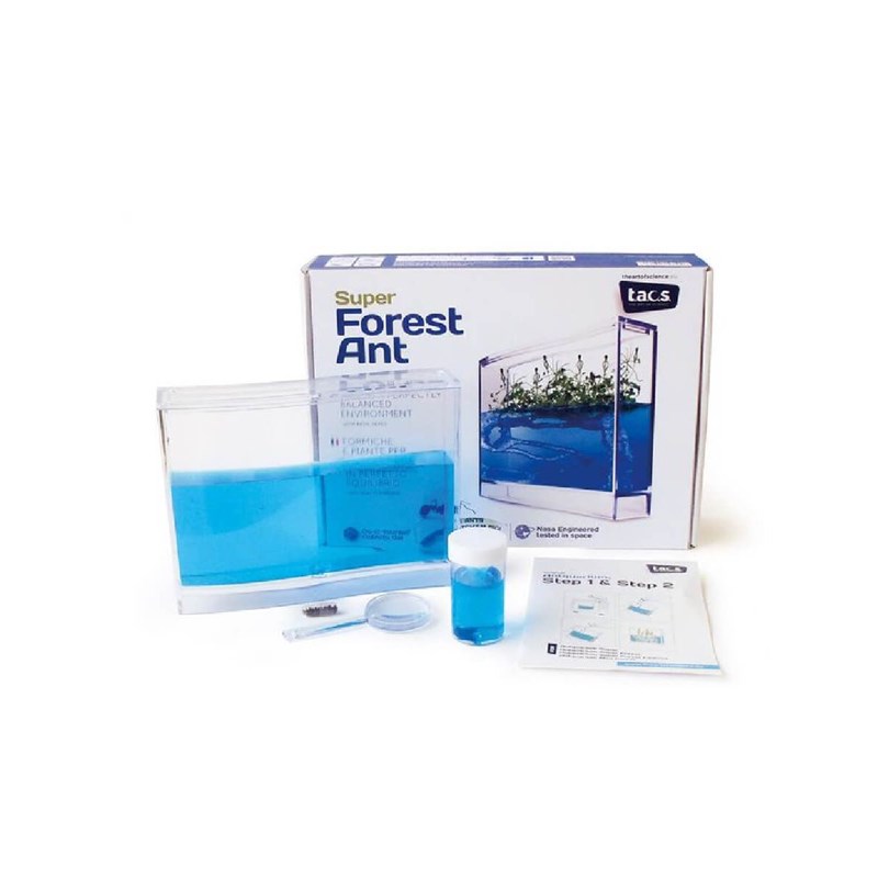 Taos - Kit super fourmiliere forest base led