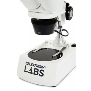 Loupe binoculaire labs s10-60 - 10 à 60x