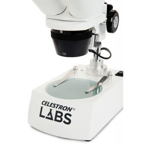 Loupe binoculaire labs s10-60 - 10 à 60x