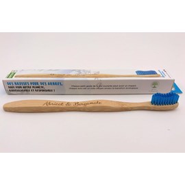Brosses à dent - adulte bleu