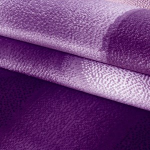 Tapis salon 160x230 violet