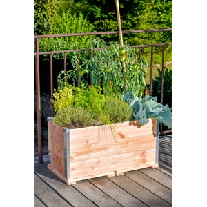 Jardiniere design