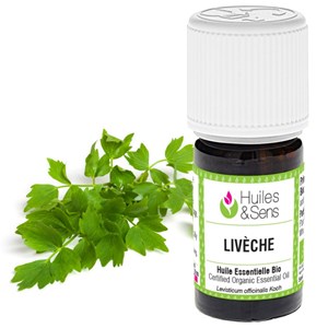 Huile essentielle livèche (bio)