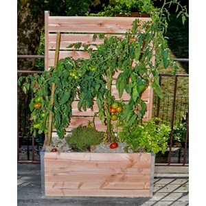 Bac potager pano design