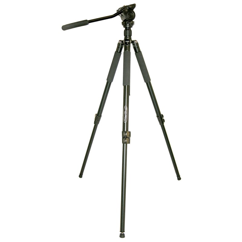 Perl - Trepied photo perl t 11
