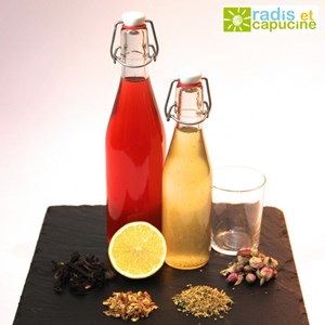 Kit de fabrication de sirop