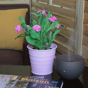 Diffuseur d'huiles essentielles jasmine