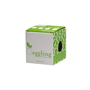 Oeuf kit basilic