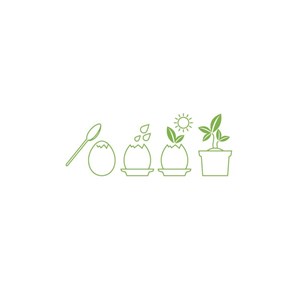 Oeuf kit cactus