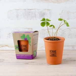 Kit de soirée trèfle à 4 feuilles