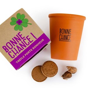 Kit de soirée trèfle à 4 feuilles