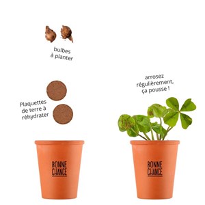 Kit de soirée trèfle à 4 feuilles