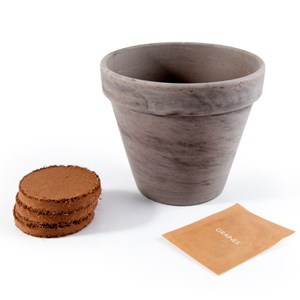 Pot basalte pour basilic grande feuille